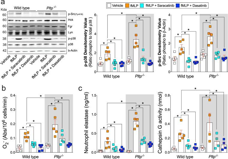 https://cdn.ncbi.nlm.nih.gov/pmc/blobs/3f78/6193999/4b47ac456645/41598_2018_33851_Fig5_HTML.jpg