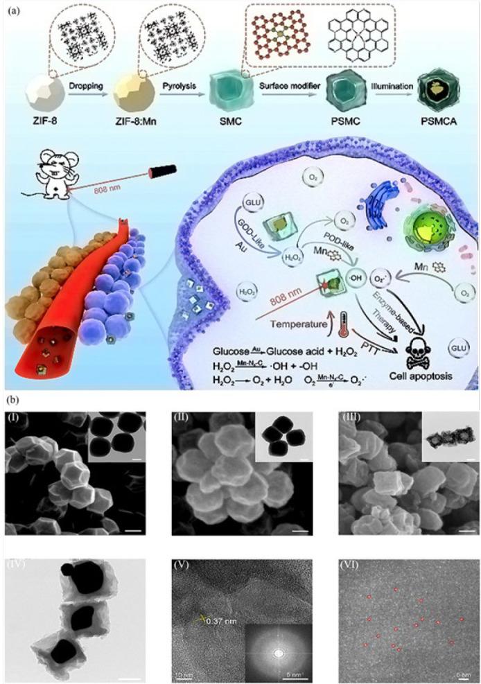 https://cdn.ncbi.nlm.nih.gov/pmc/blobs/3f7a/12258784/495a6558cd8f/IJBMS-28-533-g003.jpg