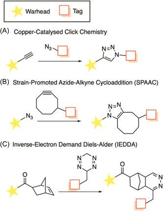 https://cdn.ncbi.nlm.nih.gov/pmc/blobs/3f7b/10947479/02e48102738d/MED-43-2303-g023.jpg