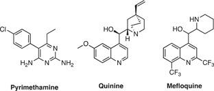 https://cdn.ncbi.nlm.nih.gov/pmc/blobs/3f7b/10947479/07caa61817b2/MED-43-2303-g013.jpg