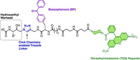 https://cdn.ncbi.nlm.nih.gov/pmc/blobs/3f7b/10947479/2e65d8781bb8/MED-43-2303-g010.jpg