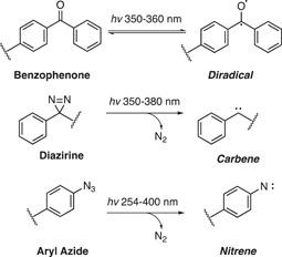 https://cdn.ncbi.nlm.nih.gov/pmc/blobs/3f7b/10947479/3e71ad4f4bef/MED-43-2303-g019.jpg