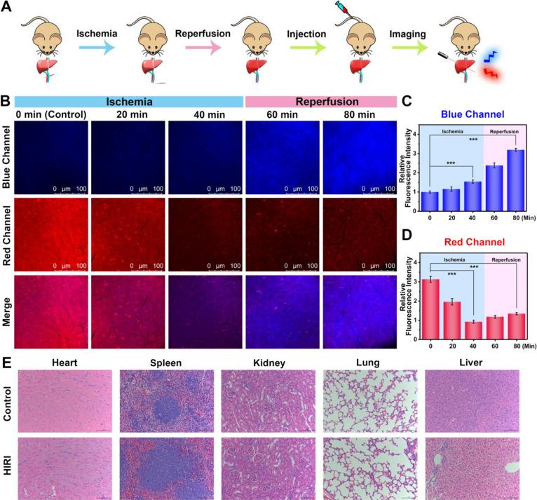 https://cdn.ncbi.nlm.nih.gov/pmc/blobs/3f7c/10510312/93569ef159f6/ja3c04303_0006.jpg