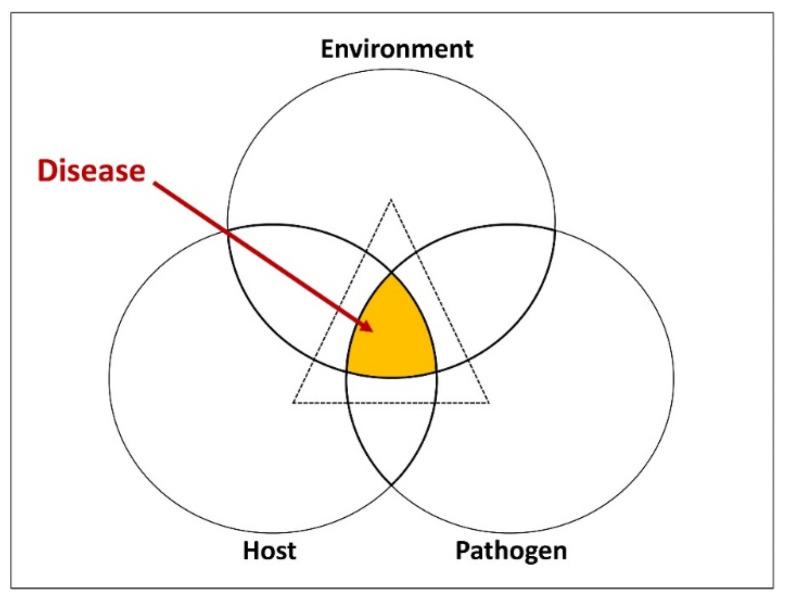 https://cdn.ncbi.nlm.nih.gov/pmc/blobs/3f7c/11124197/02573bb4571b/pathogens-13-00426-g001.jpg