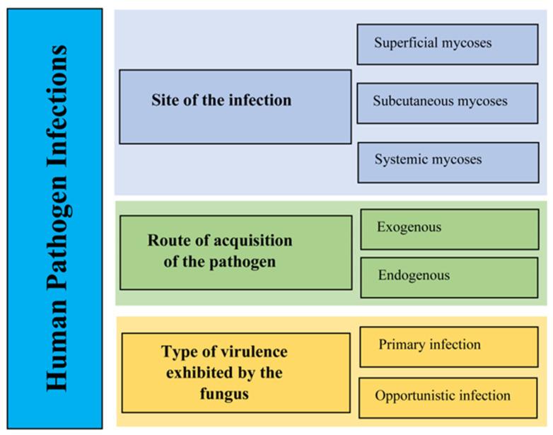 https://cdn.ncbi.nlm.nih.gov/pmc/blobs/3f7c/11124197/27d884da1ad5/pathogens-13-00426-g002.jpg