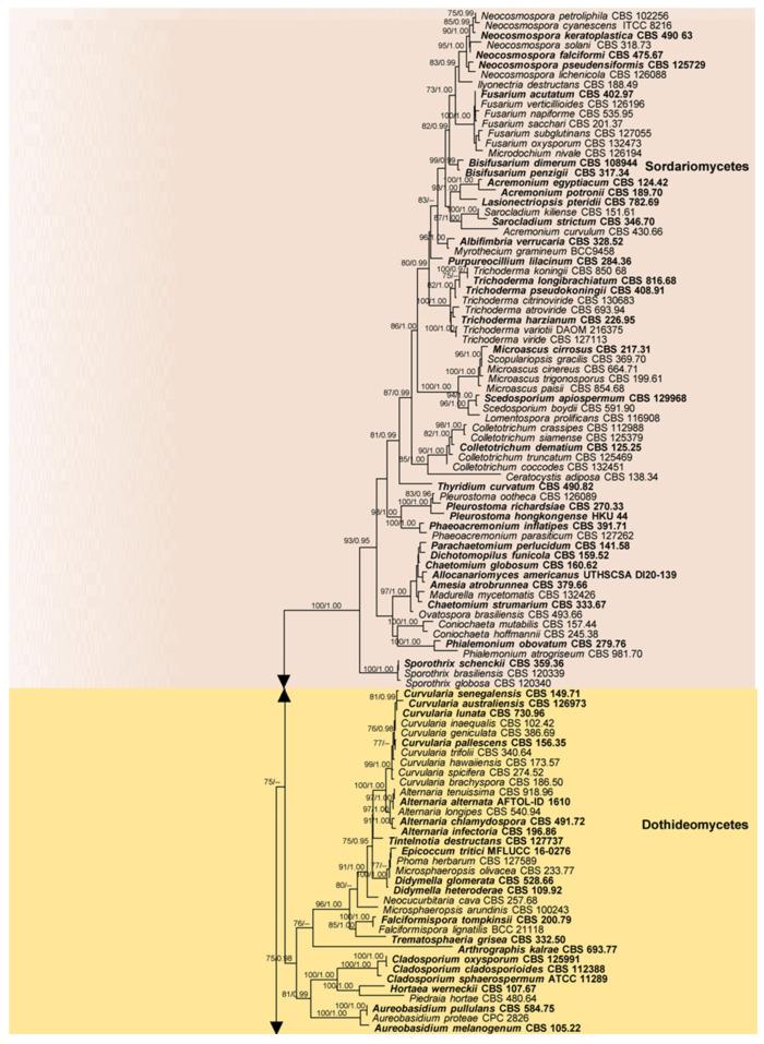 https://cdn.ncbi.nlm.nih.gov/pmc/blobs/3f7c/11124197/90a052e6519f/pathogens-13-00426-g005a.jpg