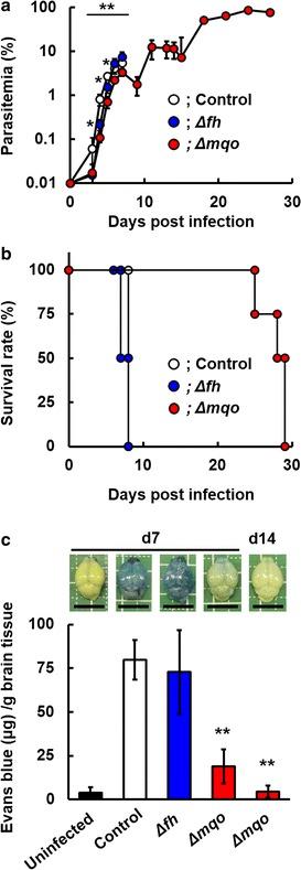 https://cdn.ncbi.nlm.nih.gov/pmc/blobs/3f7c/5469008/e87934584171/12936_2017_1898_Fig5_HTML.jpg