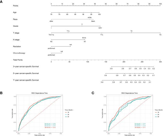 https://cdn.ncbi.nlm.nih.gov/pmc/blobs/3f7c/8969604/41b00295fbd5/fendo-13-856268-g008.jpg