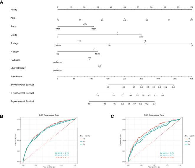 https://cdn.ncbi.nlm.nih.gov/pmc/blobs/3f7c/8969604/a05dfd197030/fendo-13-856268-g006.jpg