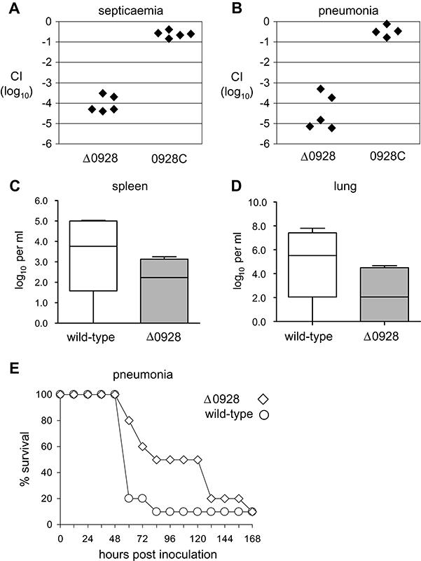 https://cdn.ncbi.nlm.nih.gov/pmc/blobs/3f7d/2228790/69cddada1ca9/mmi0067-0541-f9.jpg