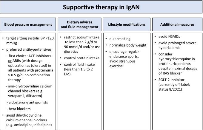 https://cdn.ncbi.nlm.nih.gov/pmc/blobs/3f7f/8551131/6e2ff66eb626/281_2021_888_Fig1_HTML.jpg