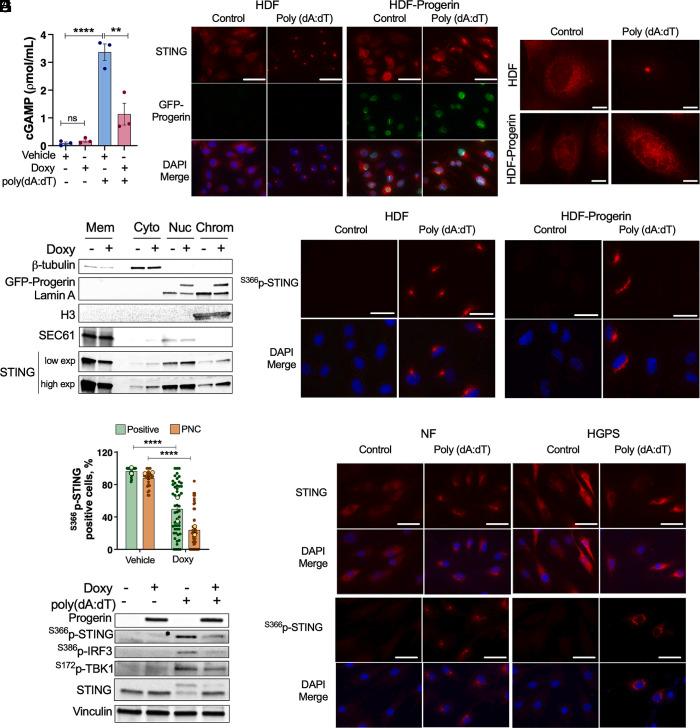 https://cdn.ncbi.nlm.nih.gov/pmc/blobs/3f81/12280946/d2c26ac3a7fe/pnas.2424666122fig01.jpg