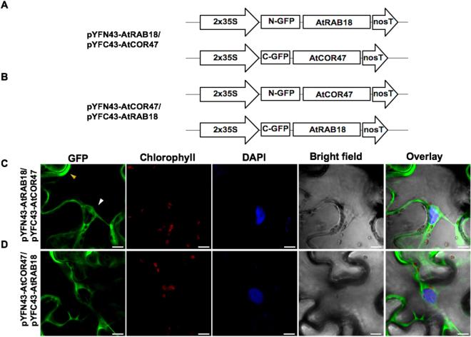https://cdn.ncbi.nlm.nih.gov/pmc/blobs/3f83/5719087/85309eee6d06/41598_2017_15986_Fig5_HTML.jpg