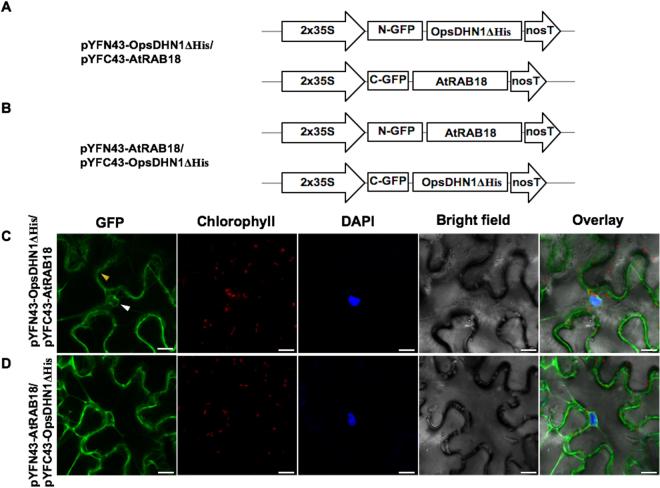 https://cdn.ncbi.nlm.nih.gov/pmc/blobs/3f83/5719087/8f1eab62035d/41598_2017_15986_Fig10_HTML.jpg