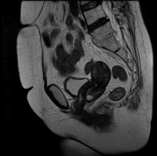 https://cdn.ncbi.nlm.nih.gov/pmc/blobs/3f84/4802128/eeaae7e01a3a/gr1.jpg