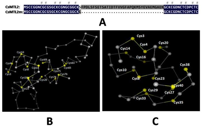 https://cdn.ncbi.nlm.nih.gov/pmc/blobs/3f84/5192482/58dcc3b010b7/genes-07-00106-g003.jpg