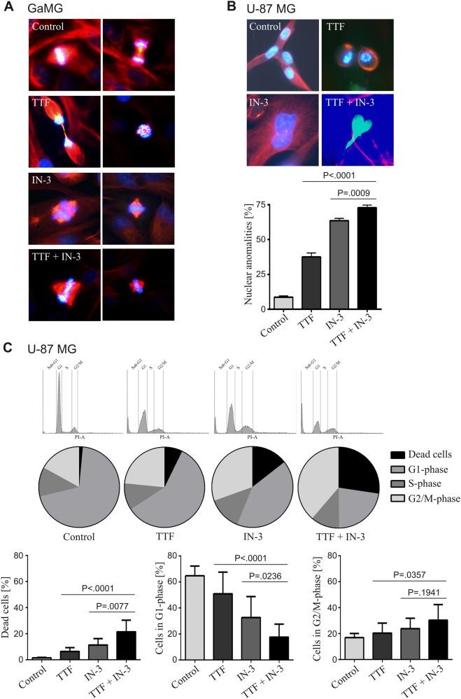 https://cdn.ncbi.nlm.nih.gov/pmc/blobs/3f85/6125382/99db37f73a39/41420_2018_79_Fig2_HTML.jpg