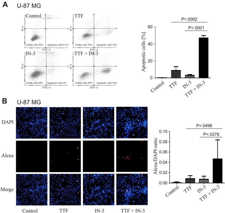 https://cdn.ncbi.nlm.nih.gov/pmc/blobs/3f85/6125382/f1dfe9b67363/41420_2018_79_Fig3_HTML.jpg