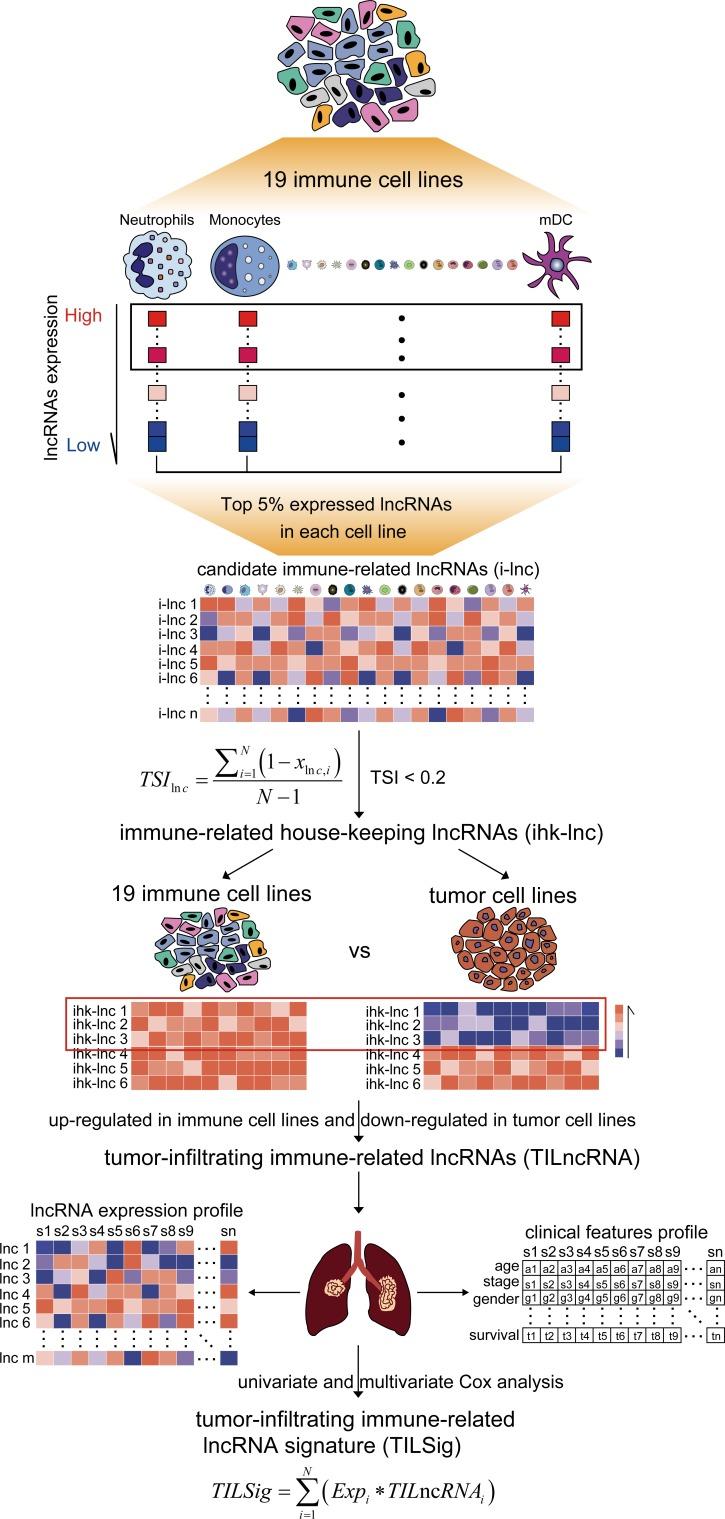 https://cdn.ncbi.nlm.nih.gov/pmc/blobs/3f85/7057423/c166a24f97f1/jitc-2019-000110f01.jpg