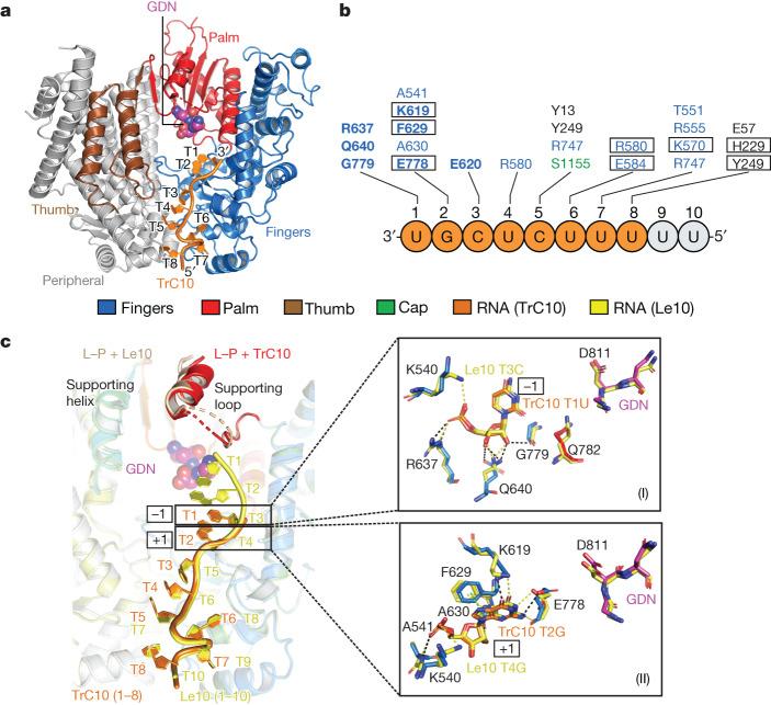https://cdn.ncbi.nlm.nih.gov/pmc/blobs/3f89/10794133/32ddc6582417/41586_2023_6867_Fig3_HTML.jpg
