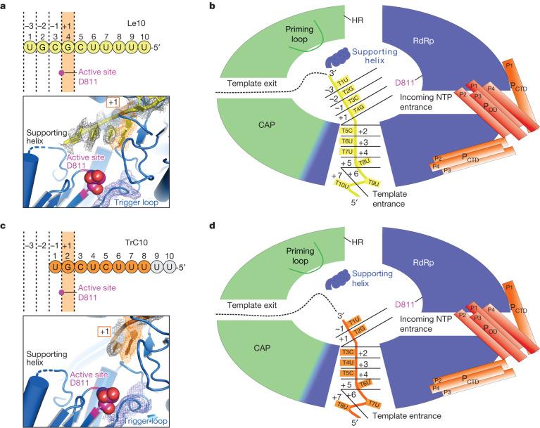 https://cdn.ncbi.nlm.nih.gov/pmc/blobs/3f89/10794133/4955c2e1f9a9/41586_2023_6867_Fig5_HTML.jpg