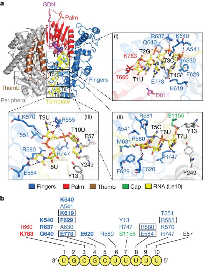 https://cdn.ncbi.nlm.nih.gov/pmc/blobs/3f89/10794133/5192d49dee19/41586_2023_6867_Fig2_HTML.jpg
