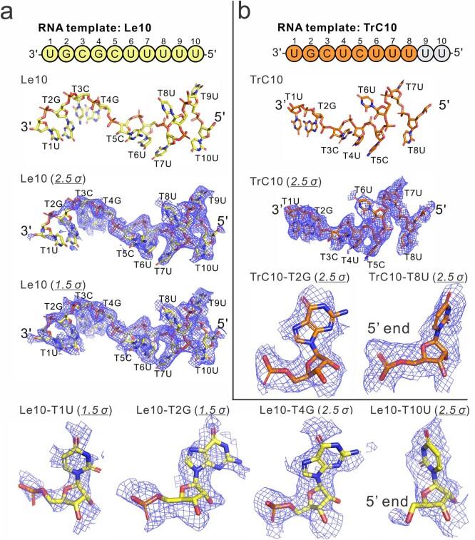https://cdn.ncbi.nlm.nih.gov/pmc/blobs/3f89/10794133/5bf7b185df9a/41586_2023_6867_Fig9_ESM.jpg