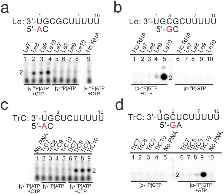 https://cdn.ncbi.nlm.nih.gov/pmc/blobs/3f89/10794133/98b65177419c/41586_2023_6867_Fig15_ESM.jpg
