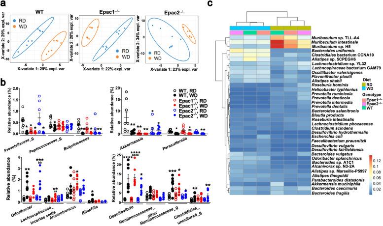https://cdn.ncbi.nlm.nih.gov/pmc/blobs/3f89/9635209/ffd246edb9c7/40168_2022_1366_Fig3_HTML.jpg