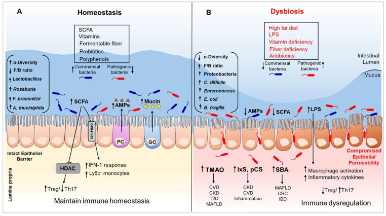 https://cdn.ncbi.nlm.nih.gov/pmc/blobs/3f8d/12189471/bf318188da9b/biomedicines-13-01357-g001.jpg