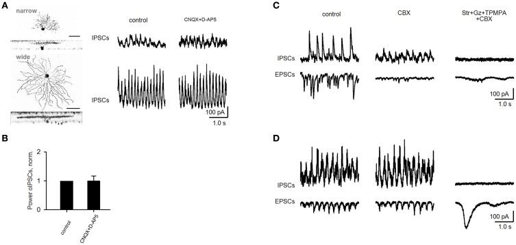 https://cdn.ncbi.nlm.nih.gov/pmc/blobs/3f8d/3285818/d0309af348ef/fnsys-06-00008-g005.jpg