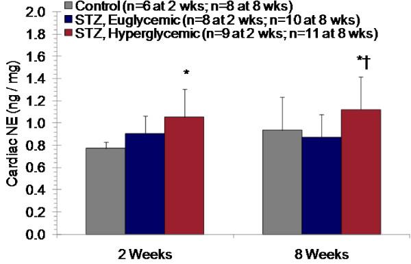 https://cdn.ncbi.nlm.nih.gov/pmc/blobs/3f90/3170183/e6fa69fd48da/1475-2840-10-75-2.jpg