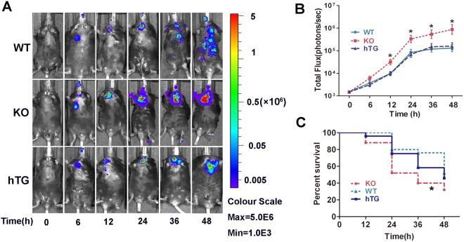 https://cdn.ncbi.nlm.nih.gov/pmc/blobs/3f91/6193952/8b6321e33b86/41598_2018_33828_Fig3_HTML.jpg