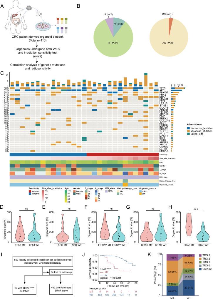 https://cdn.ncbi.nlm.nih.gov/pmc/blobs/3f94/11895145/34b0c95a519b/13046_2025_3349_Fig1_HTML.jpg