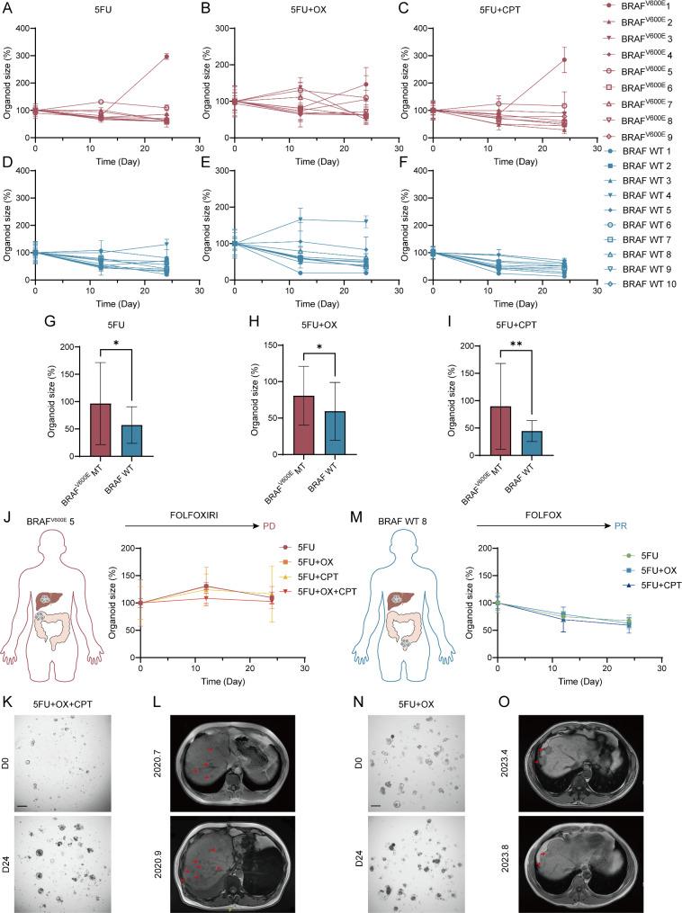 https://cdn.ncbi.nlm.nih.gov/pmc/blobs/3f94/11895145/4c6a1e63637e/13046_2025_3349_Fig4_HTML.jpg