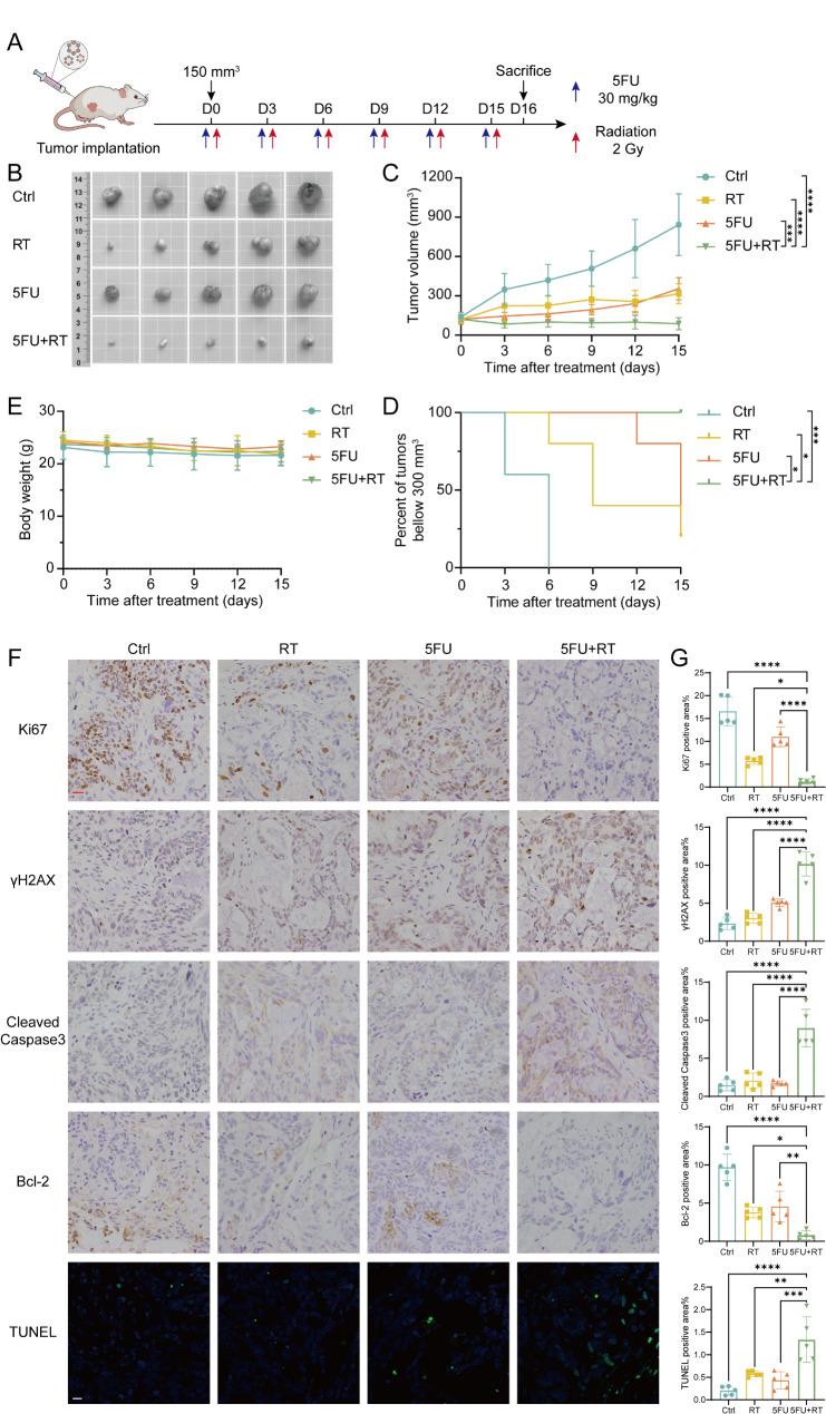 https://cdn.ncbi.nlm.nih.gov/pmc/blobs/3f94/11895145/fc421ee092e8/13046_2025_3349_Fig6_HTML.jpg