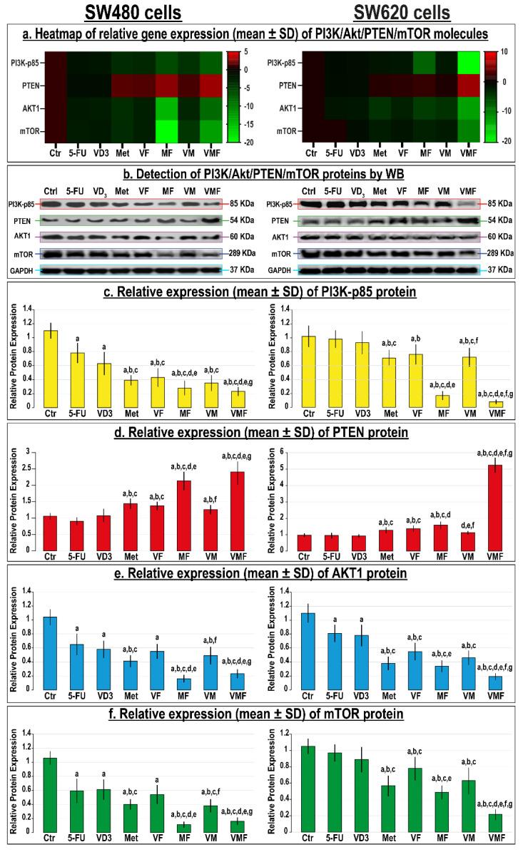 https://cdn.ncbi.nlm.nih.gov/pmc/blobs/3f94/8946120/7be4132c1871/cancers-14-01538-g009.jpg