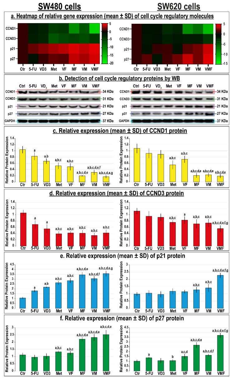 https://cdn.ncbi.nlm.nih.gov/pmc/blobs/3f94/8946120/a5f2c4fdc786/cancers-14-01538-g004.jpg