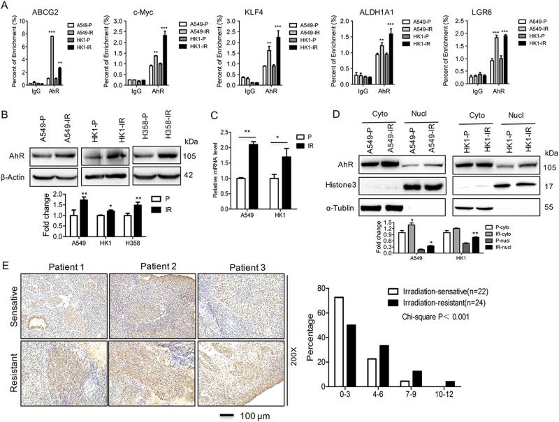 https://cdn.ncbi.nlm.nih.gov/pmc/blobs/3f95/5924755/67f6b2444444/41419_2018_542_Fig3_HTML.jpg