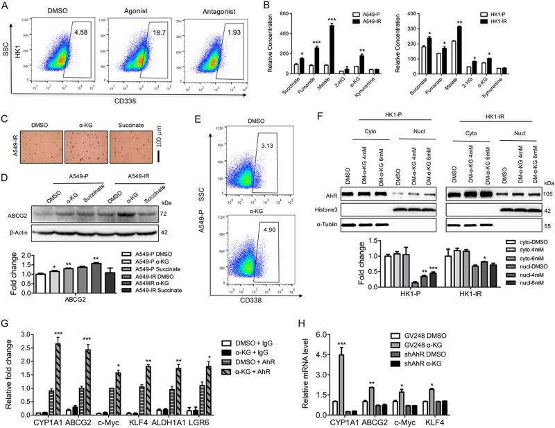 https://cdn.ncbi.nlm.nih.gov/pmc/blobs/3f95/5924755/9b822d220341/41419_2018_542_Fig5_HTML.jpg