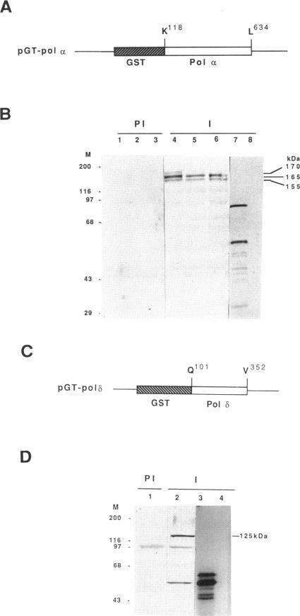 https://cdn.ncbi.nlm.nih.gov/pmc/blobs/3f96/300911/f67daefc2eb3/mbc00096-0022-a.jpg
