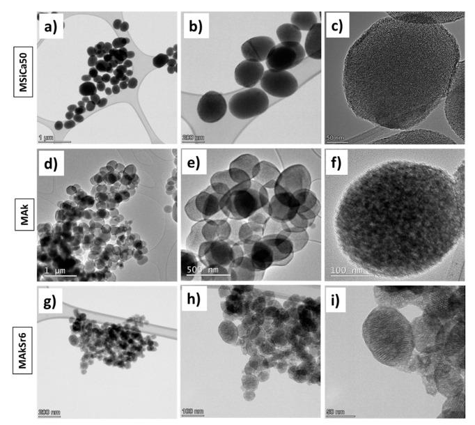 https://cdn.ncbi.nlm.nih.gov/pmc/blobs/3f97/7827177/d490b66a1b88/ijms-22-00577-g006.jpg