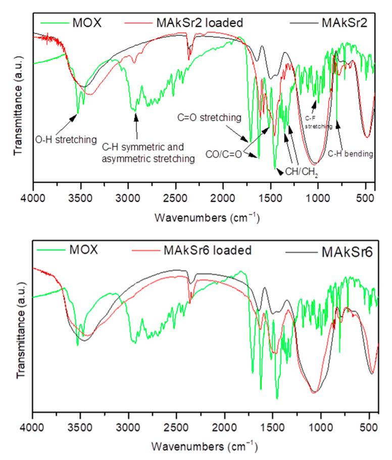 https://cdn.ncbi.nlm.nih.gov/pmc/blobs/3f97/7827177/da42b70741c1/ijms-22-00577-g008.jpg