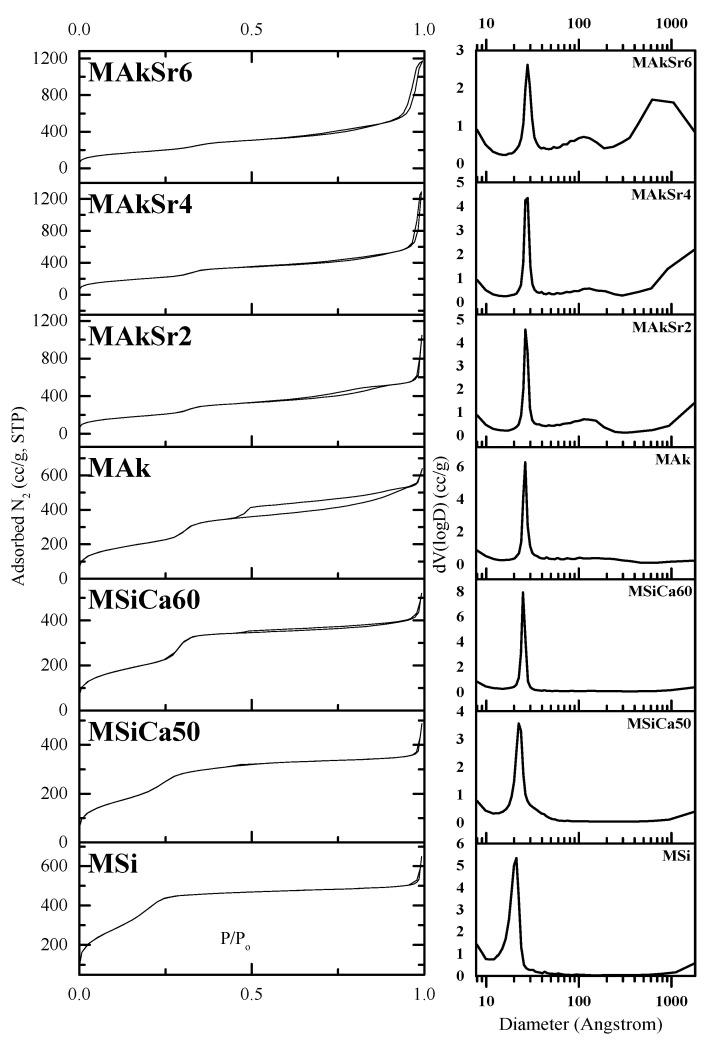 https://cdn.ncbi.nlm.nih.gov/pmc/blobs/3f97/7827177/e2781d19b88f/ijms-22-00577-g004.jpg