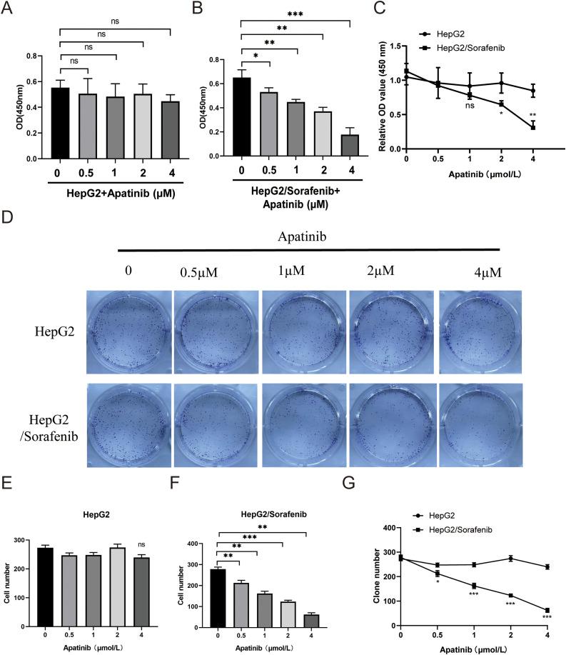 https://cdn.ncbi.nlm.nih.gov/pmc/blobs/3f98/12144613/e97623be8b50/OncolRes-33-60407-f003.jpg