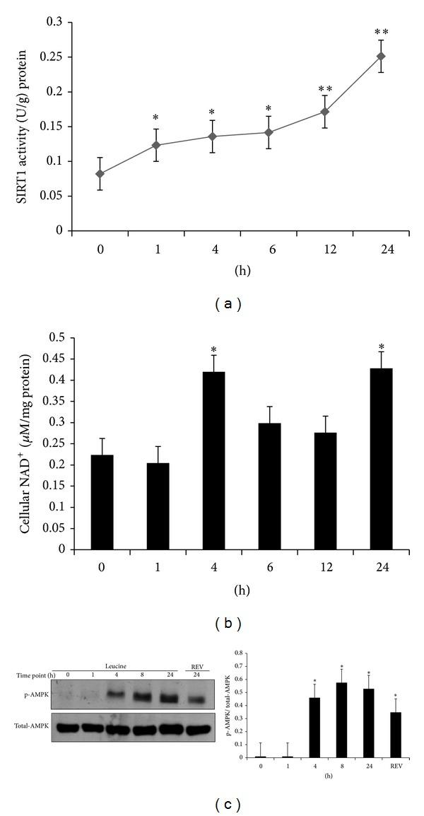 https://cdn.ncbi.nlm.nih.gov/pmc/blobs/3f98/4220583/449b2d0655e6/JNME2014-239750.004.jpg