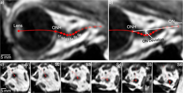 https://cdn.ncbi.nlm.nih.gov/pmc/blobs/3f98/7545196/daf3b32d17a9/41526_2020_119_Fig4_HTML.jpg