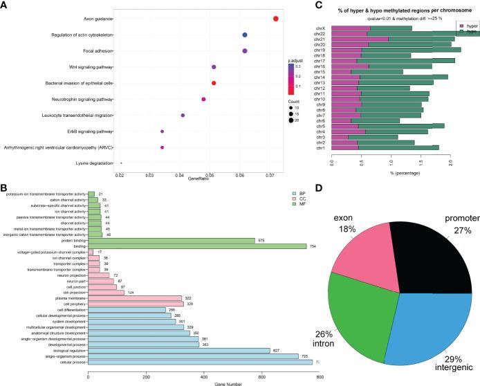 https://cdn.ncbi.nlm.nih.gov/pmc/blobs/3f9a/9277050/2c242d932fc4/fonc-12-897898-g002.jpg