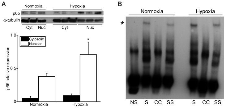 https://cdn.ncbi.nlm.nih.gov/pmc/blobs/3f9d/9322255/e8d19d44ca1e/cells-11-02193-g003.jpg