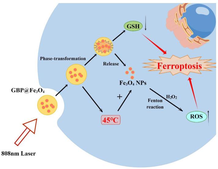 https://cdn.ncbi.nlm.nih.gov/pmc/blobs/3f9f/10254382/04effbada6c2/molecules-28-04562-g008.jpg